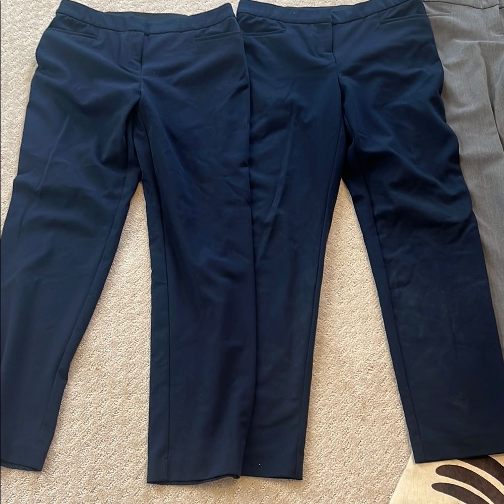 Stylish Gray and Navy Pants Set